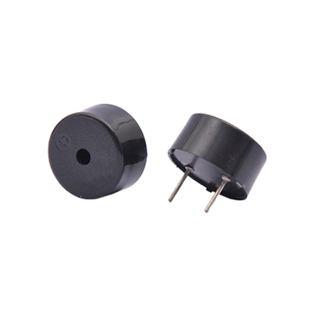 Reliable Magnetic Passive Buzzer In Timers